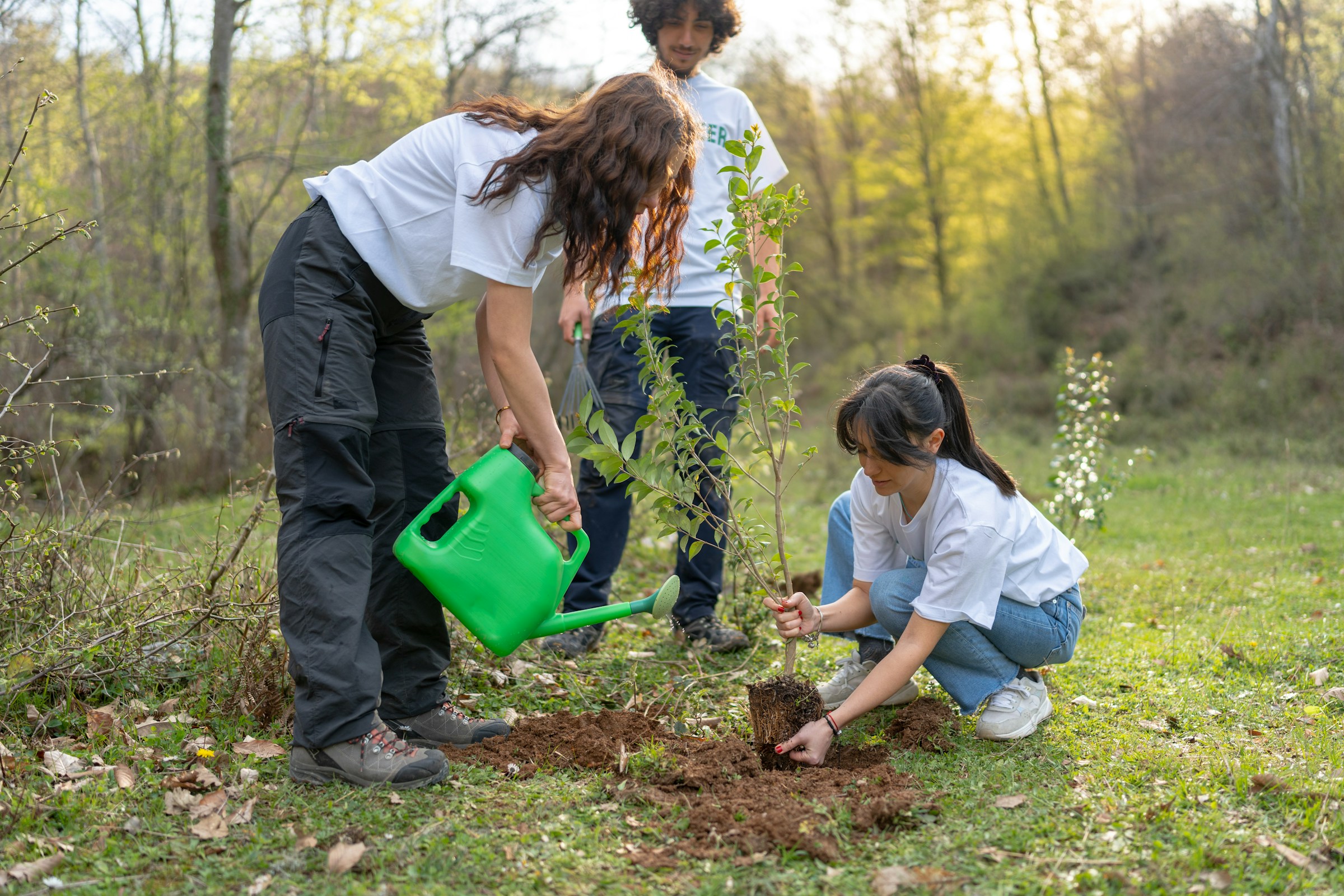 ahmet-kurt-Gh-w_ErOEyI-unsplash